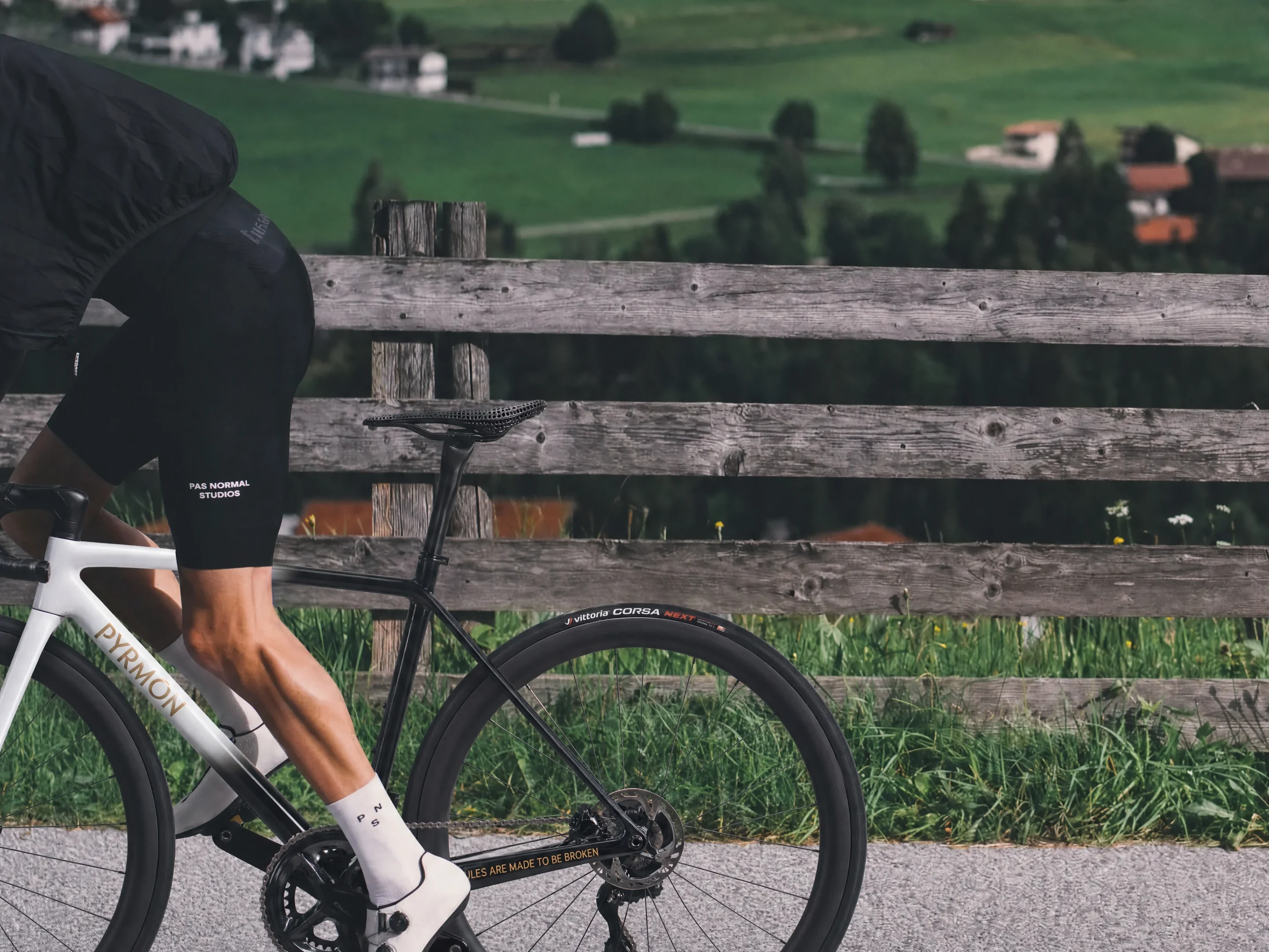Cyclist climbing a mountain pass on the Cadí carbon climbing bike
