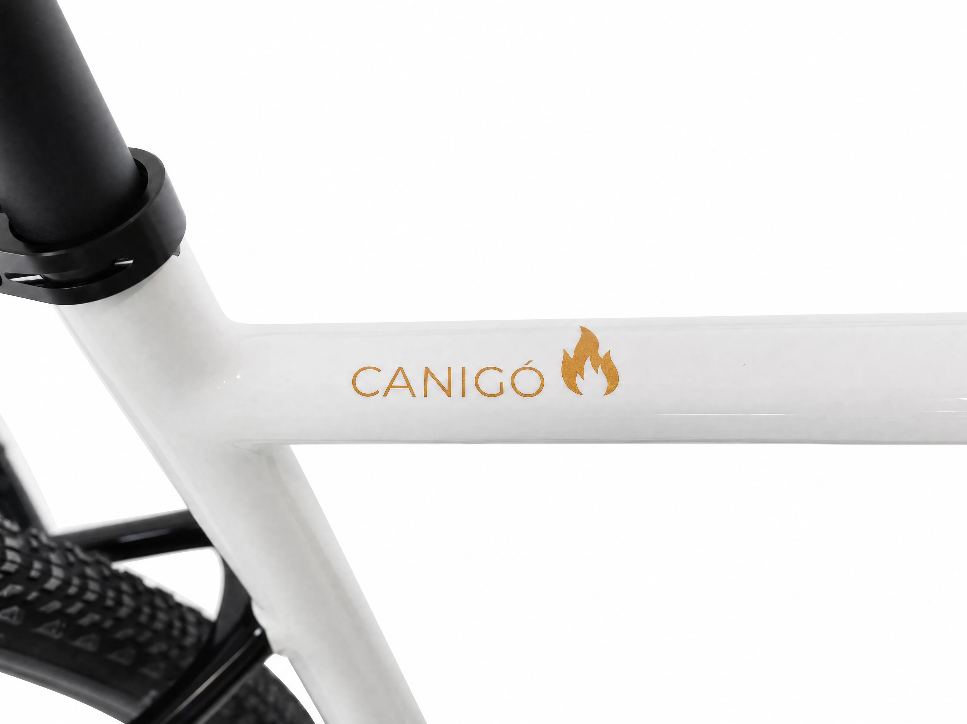 PYRMON Canigó · logotipo en el cuadro